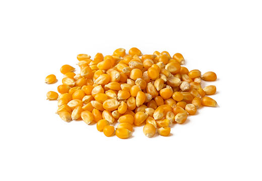 CORN CORN 1 - Tekkeli Gıda