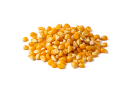 Corn e1741906876765 - Tekkeli Gıda