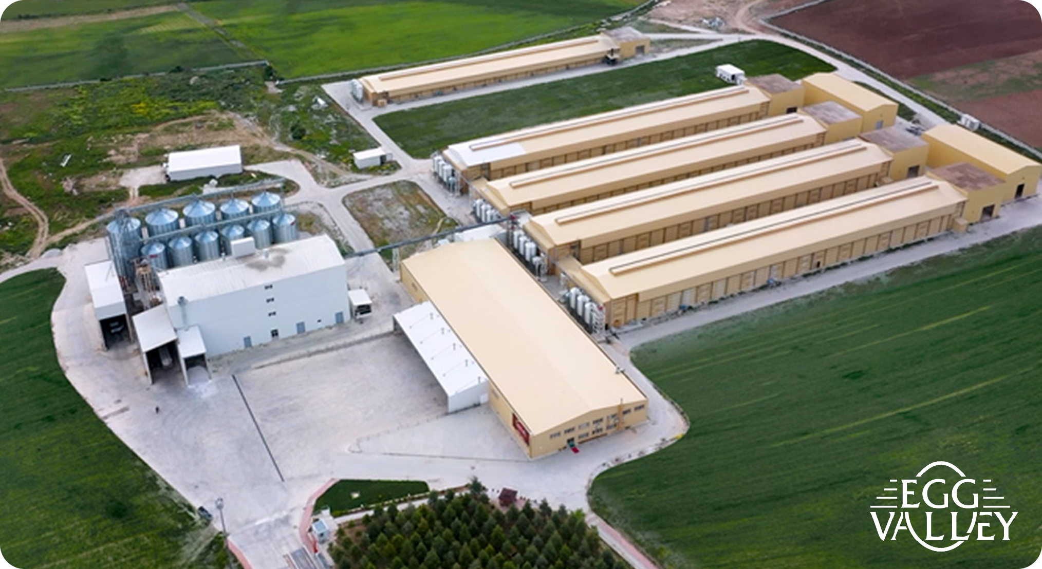 Frame 1638 (3) Frame 1638 3 1 - Tekkeli Gıda