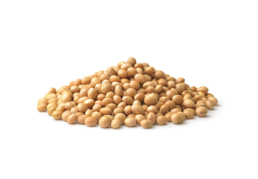 SOYBEAN SOYBEAN 1 - Tekkeli Gıda
