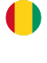 Guinea - Tekkeli Gıda