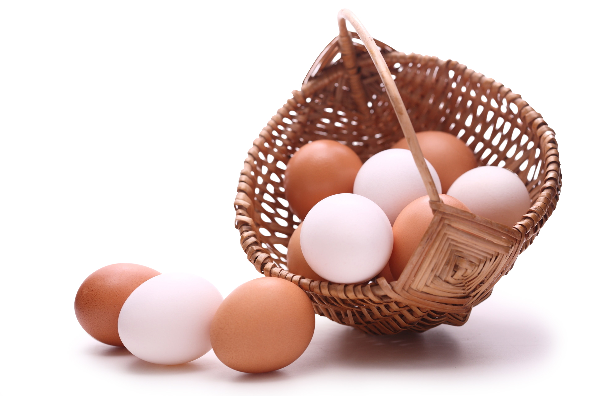 Tekkeli Gıda - Yumurta